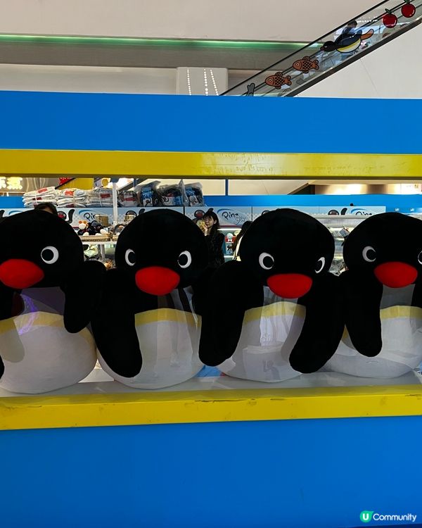 最新推介「Pingu 冬日企遇記🐧🐧」