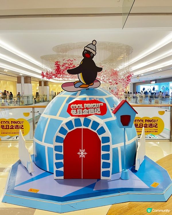 最新推介「Pingu 冬日企遇記🐧🐧」