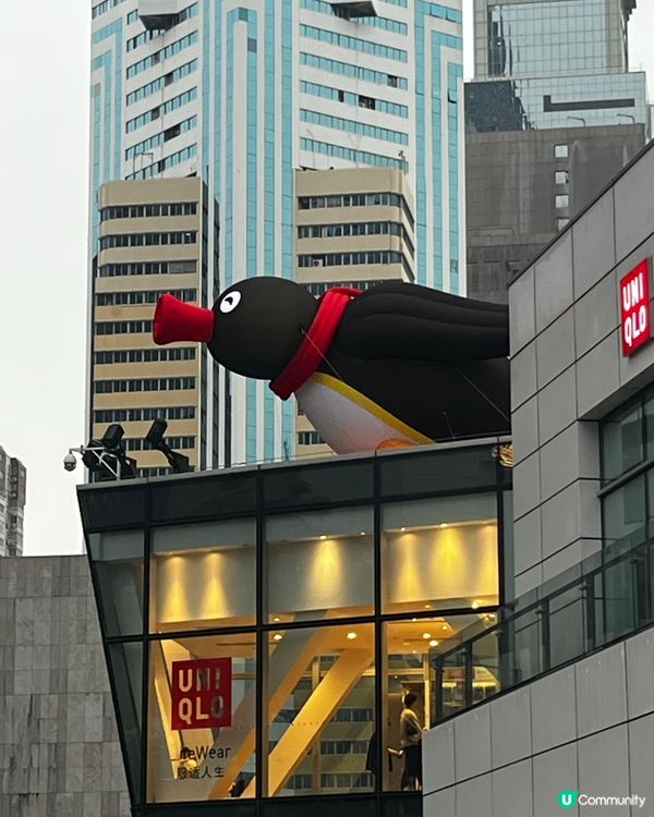 最新推介「Pingu 冬日企遇記🐧🐧」