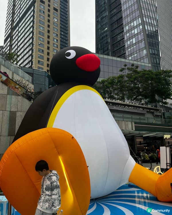 最新推介「Pingu 冬日企遇記🐧🐧」