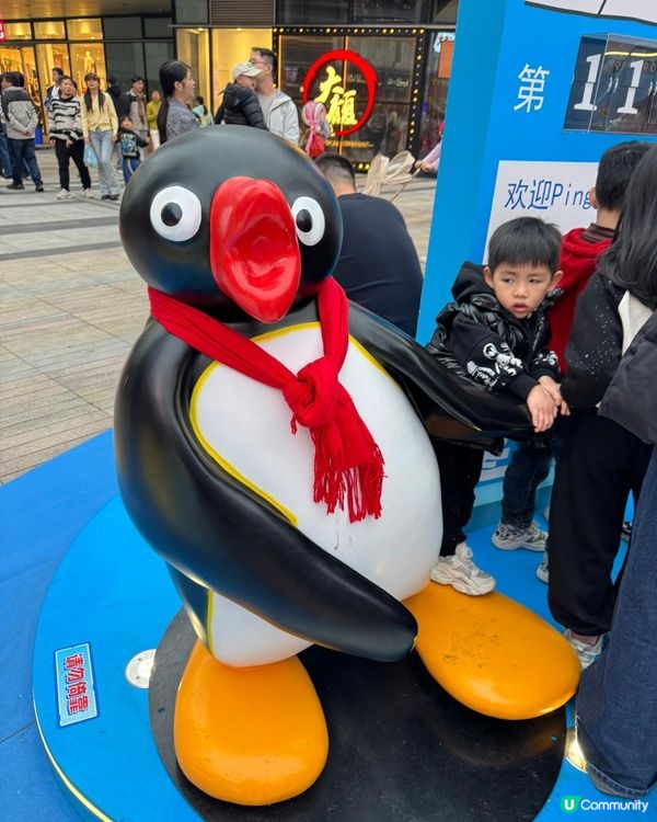 最新推介「Pingu 冬日企遇記🐧🐧」