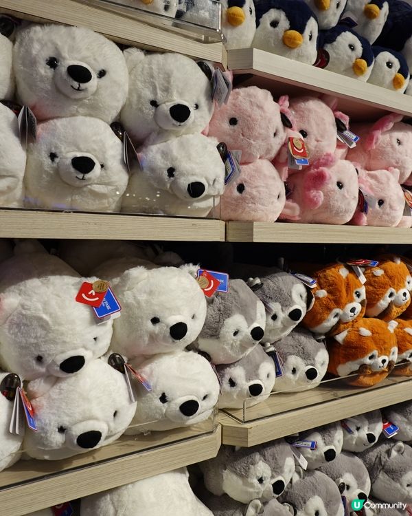 Jellycat海洋公園都有得賣🤩