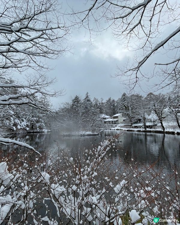 喜歡冬天的不能錯過日本雲場池，雪景如畫般，只要看到雪景和湖就...