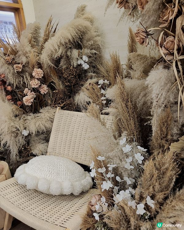 ## 長沙灣文青咖啡店☕️打卡必去！