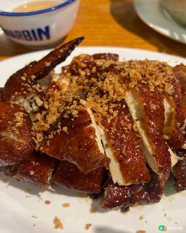 東寶小館重開啦！🥳灣仔新店環境升級！