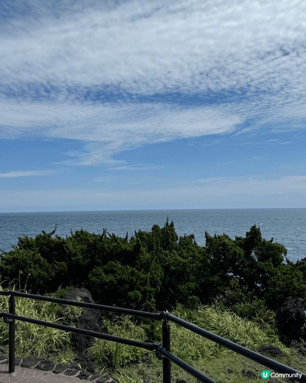 難得搶到平的日本機票，快閃一轉東京。行街購物已經滿足唔到自己...