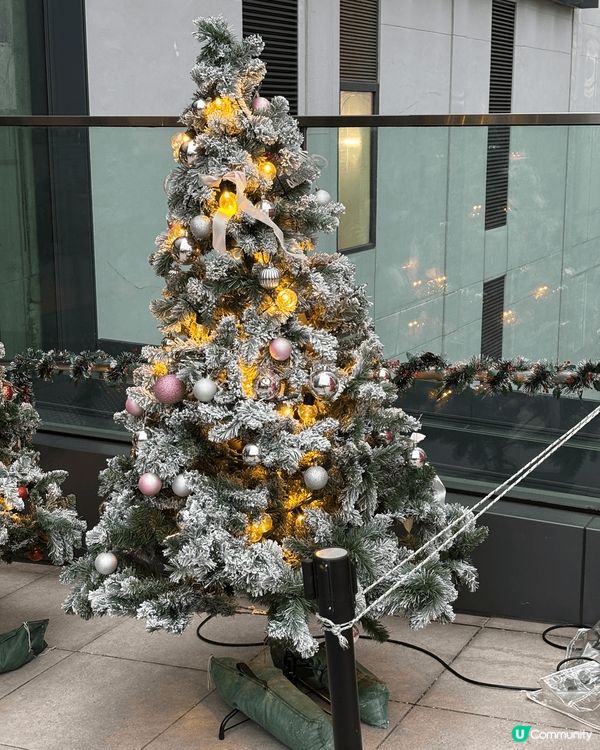 南豐紗廠，環境舒服優閒