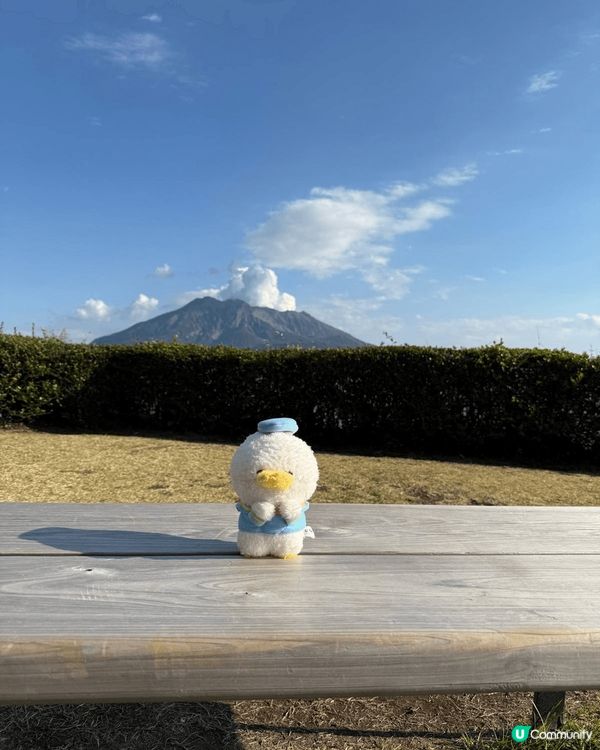 喜歡去九州櫻島火山是因為由兩座疊層火山組成，展現了複雜的地質...