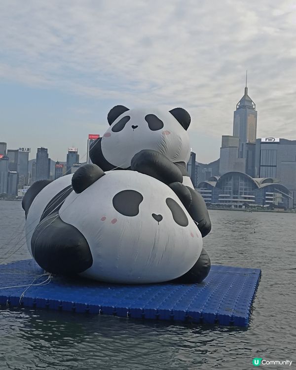 尖沙咀海旁日與夜有不同嘅景色打卡熱點,非常美麗！！