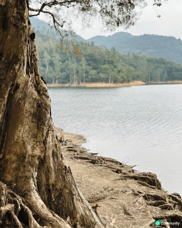 城門水塘 - 簡單易行的香港山徑，且沿途風景亦不錯，性價比高...