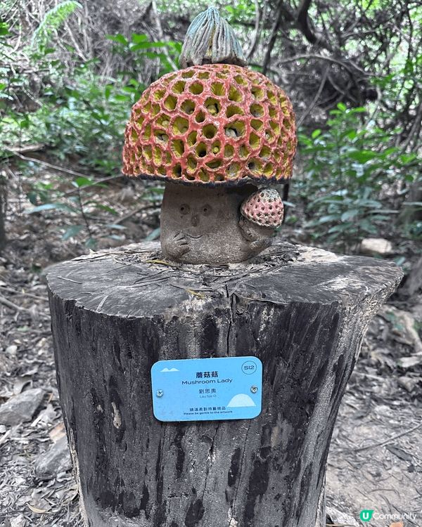 西貢海藝術節到達第3年，亦是最後一年，快來參與跳島體驗，觀賞...