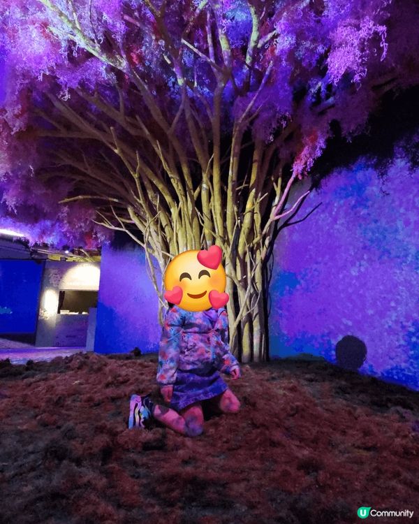 我選的打卡熱點分別是元朗信芯園， -每年夏天的向日葵非常靚；...