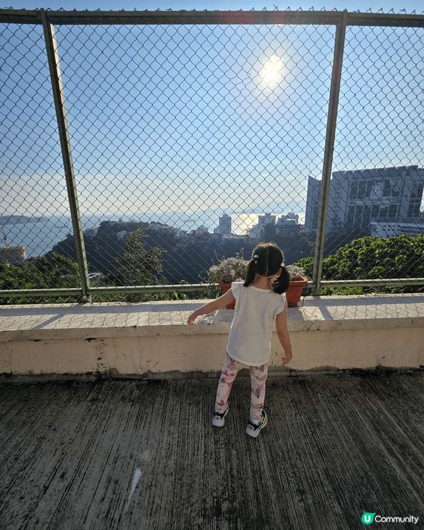 我選的打卡熱點分別是元朗信芯園， -每年夏天的向日葵非常靚；...