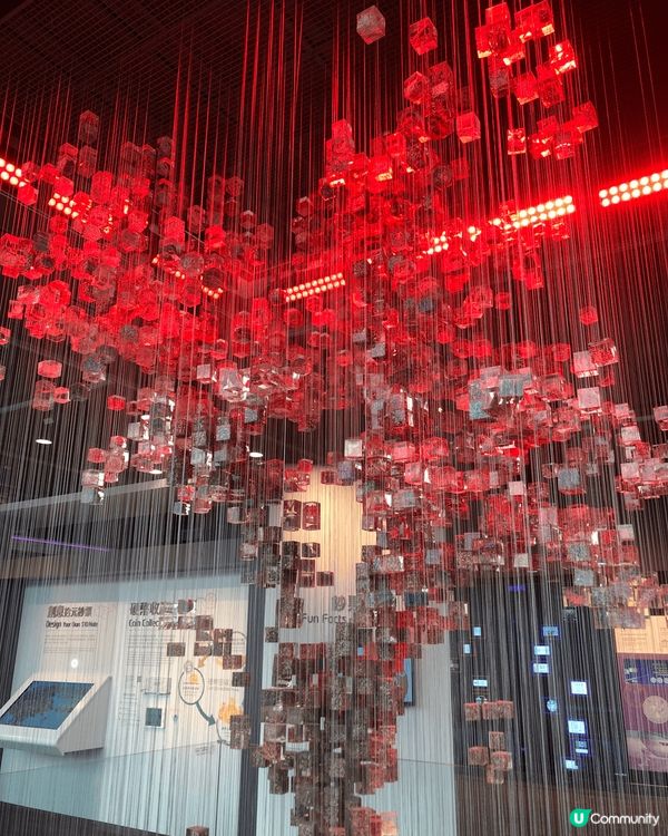 香港金管局 介紹香港金融歷史，硬幣切啲風景畫及有光效嘅燈飾