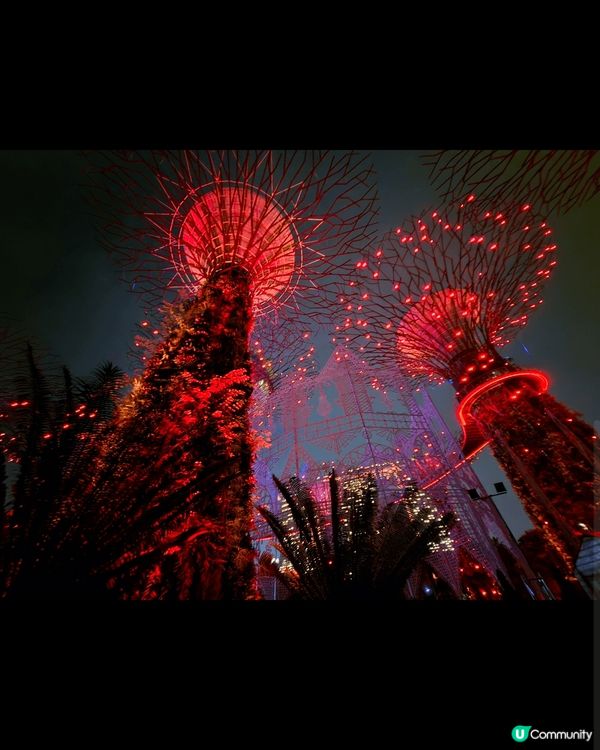 濱海灣花園係新加坡必去的景點之一，晚上有燈光表演，十分熱鬧。...