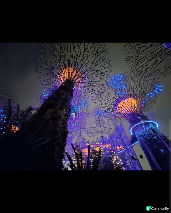 濱海灣花園係新加坡必去的景點之一，晚上有燈光表演，十分熱鬧。...