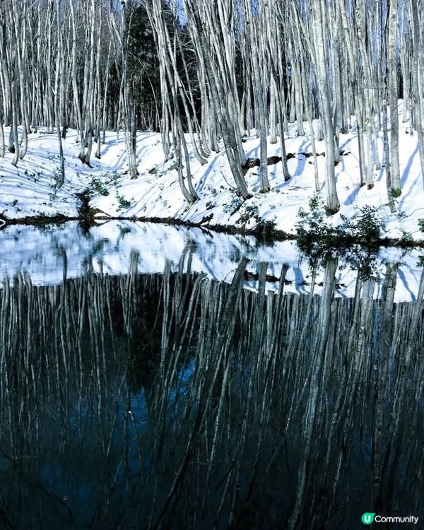 新潟雪景 ❄️ 美人林 😍😍