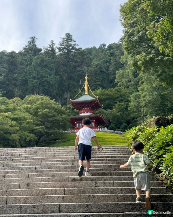 大阪近郊打卡勝地！勝尾寺達摩公仔滿滿🤩