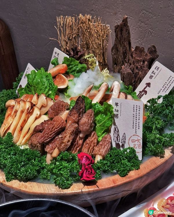 深圳榮山鍋·野菌土雞火鍋:滋補養生嘅奢華體驗 ✨