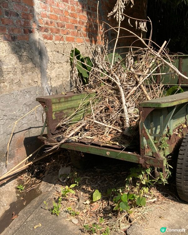 ## 🇭🇰 香港生活忙到飛起，不如去錦上路放鬆一下！ 🌿☀️