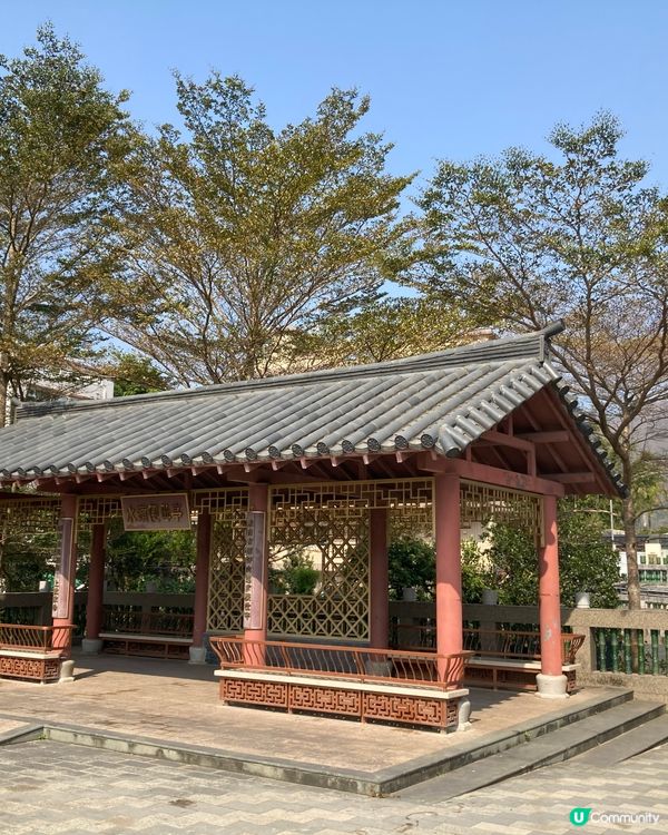 ## 🇭🇰 香港生活忙到飛起，不如去錦上路放鬆一下！ 🌿☀️