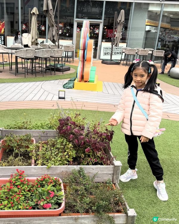 🪻🪻有機園圃@V Walk🪻🪻