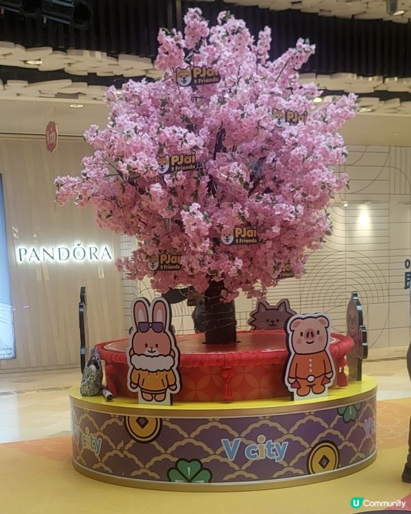 V City - PJai & Friends