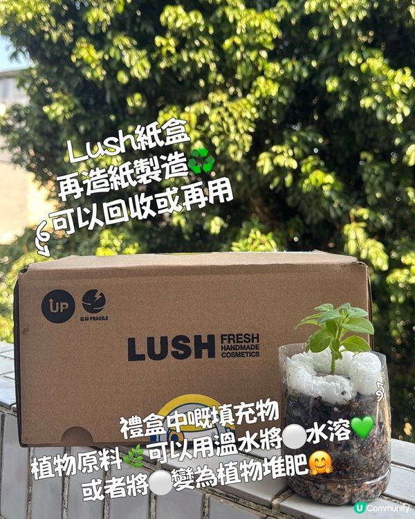 🍌🍌Lush迷你兵團搞怪護膚🤩🤩