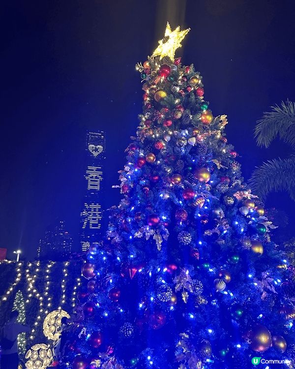 香港聖誕樹推介
