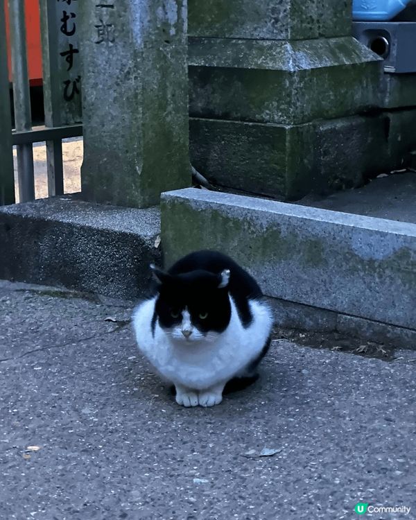 伏見稻荷大社是一個非常值得一游的景點，作為稻荷神的總本社，保...