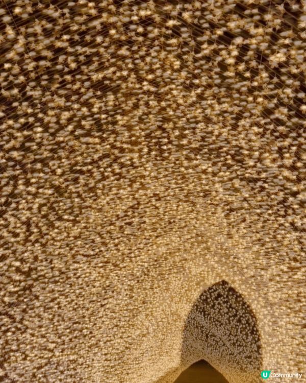 3個地方，1. D2 place Gum Gum Gummy...