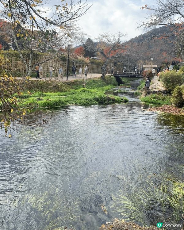 日本必到打卡地點富士山/忍野八海，一年一度既土浦全國花火競技...