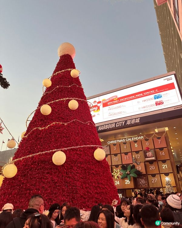 尖沙嘴聖誕節限定打卡熱點，非常適合一家大小、情侶等一齊影相。...