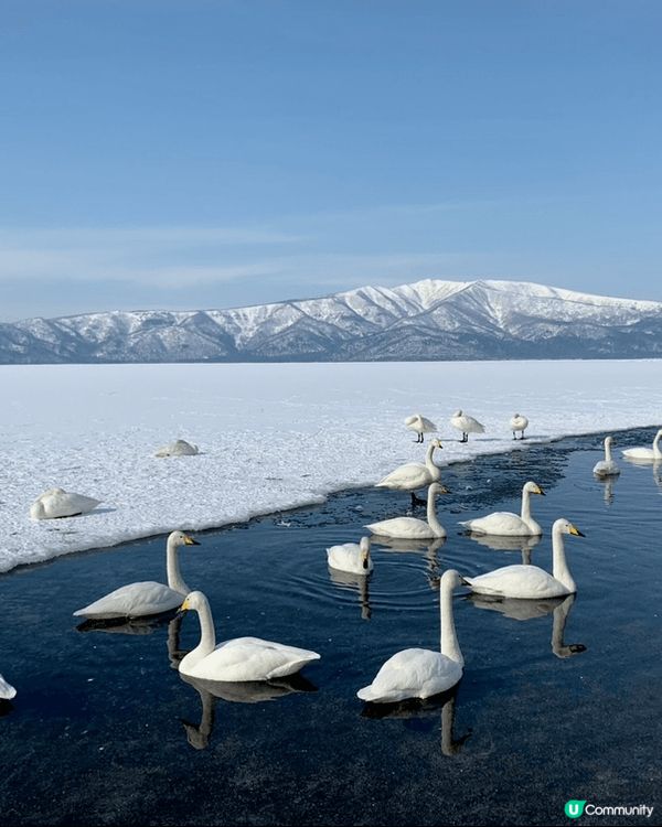 北海道冬日特有景色，亦較少香港遊客，絕對值得一遊。