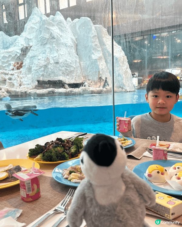 依個冬日趁住聖誕假期間去咗珠海長隆企鵝酒店🐧，講到重點打卡位...