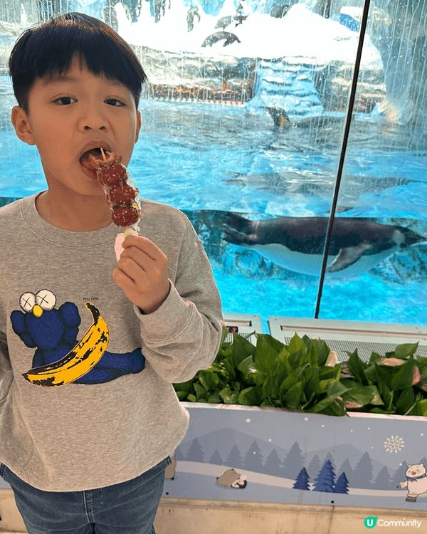 依個冬日趁住聖誕假期間去咗珠海長隆企鵝酒店🐧，講到重點打卡位...