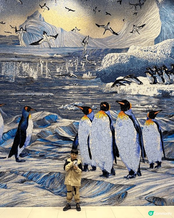 依個冬日趁住聖誕假期間去咗珠海長隆企鵝酒店🐧，講到重點打卡位...