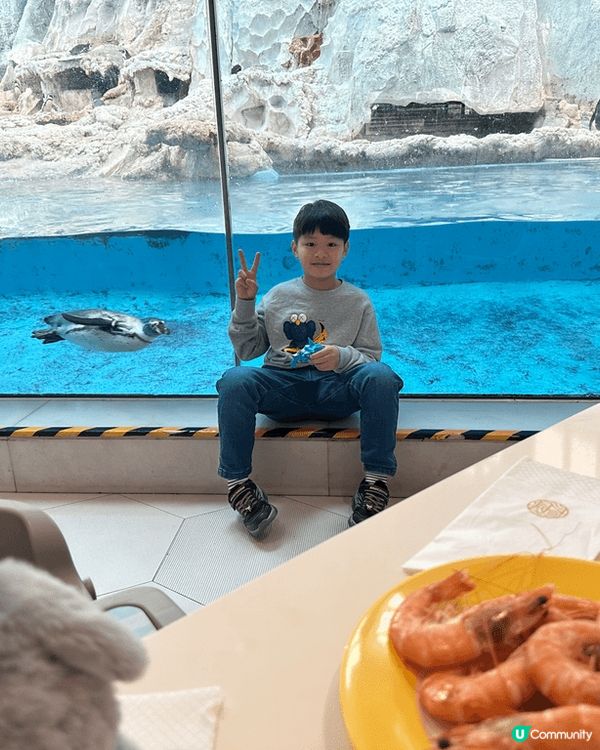 依個冬日趁住聖誕假期間去咗珠海長隆企鵝酒店🐧，講到重點打卡位...