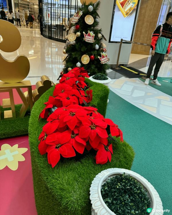 旺角Moko Mall嘅「Kerokerokeroppi聖誕...