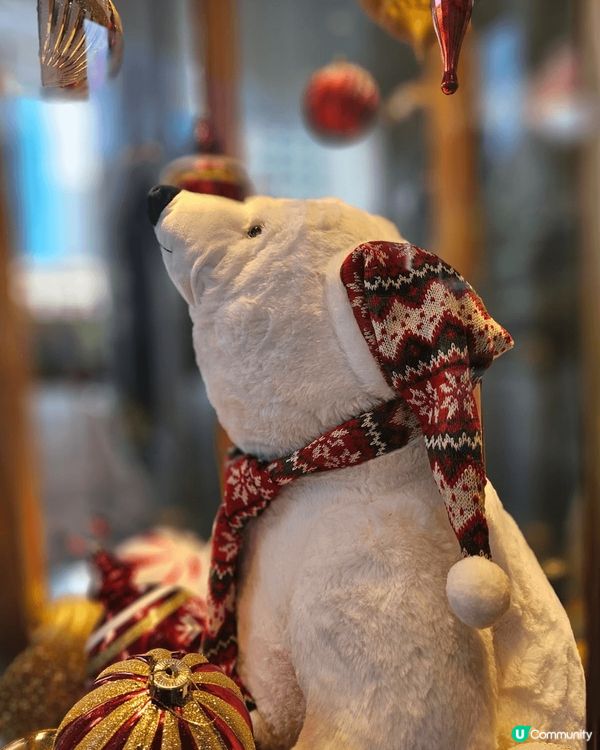 好多小朋友見到咁靚嘅聖誕裝飾都好開心，充滿歡樂的氣氛！在普天...