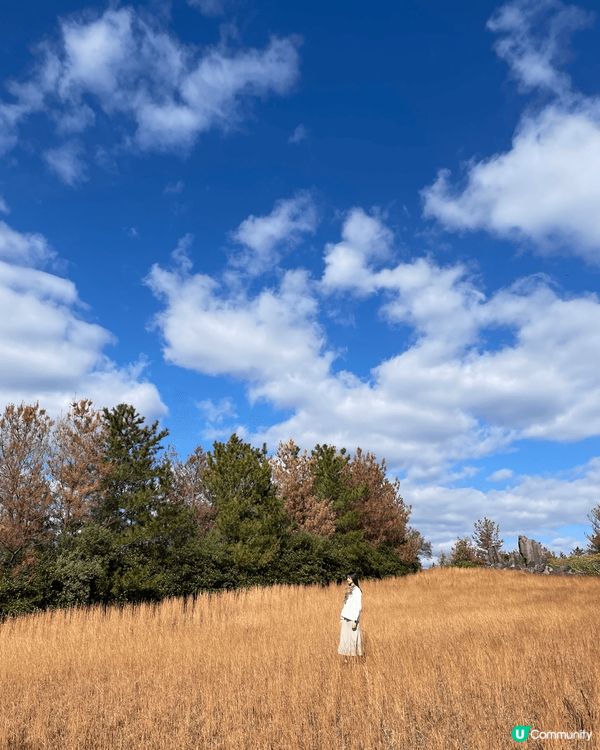 今個冬天去左鹿兒島過聖誕🎄喺市區揸車十分鐘就到櫻島碼頭，連人...