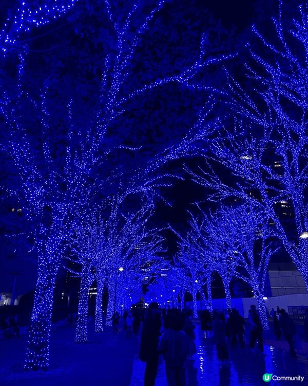 東京聖誕冬日打卡熱點之一 — 青之洞窟Shibuya。