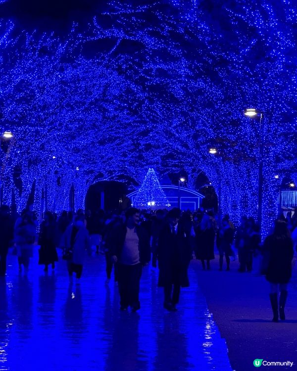 東京聖誕冬日打卡熱點之一 — 青之洞窟Shibuya。