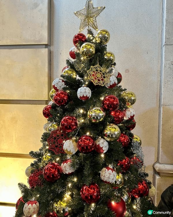 平安夜去咗灣仔嘅利東街，每年佈置得好有氣氛，一定唔會令人失望...