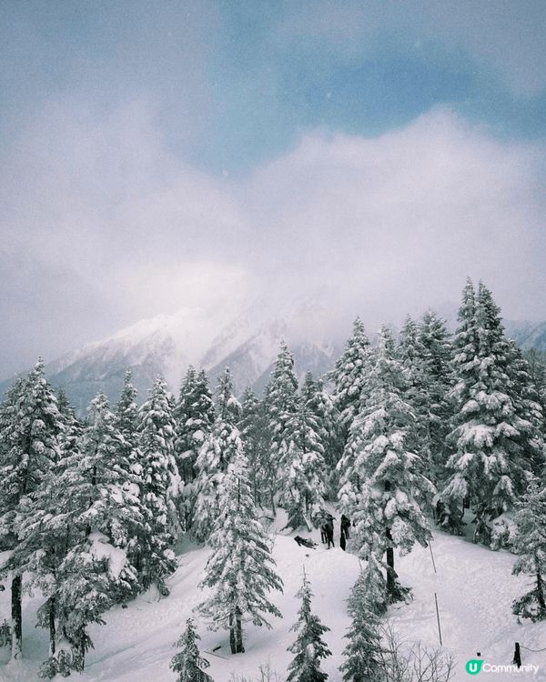 尋日去左新穗高山上，好靚-10度😳但出奇地唔算好凍，好似香港...