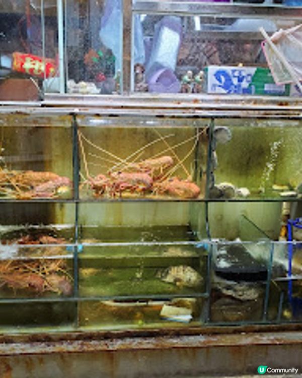 金玉滿堂．必食黑草羊腩煲