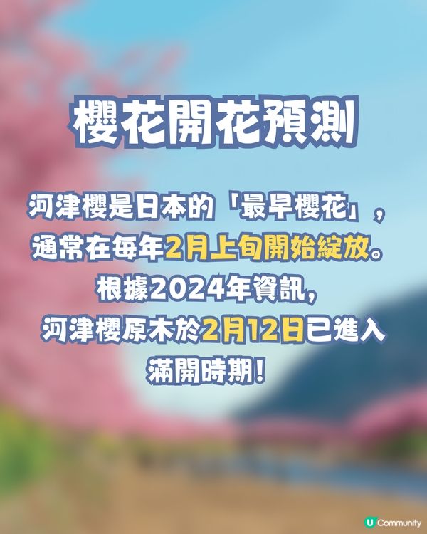 河津櫻2025🌸5大熱門景點一次看！4公里櫻花隧道仲有70年樹齡原木😍附櫻花祭詳細時間/地圖/交通資訊🚗