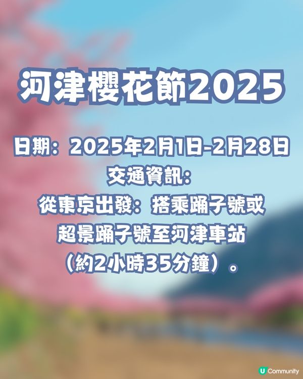 河津櫻2025🌸5大熱門景點一次看！4公里櫻花隧道仲有70年樹齡原木😍附櫻花祭詳細時間/地圖/交通資訊🚗