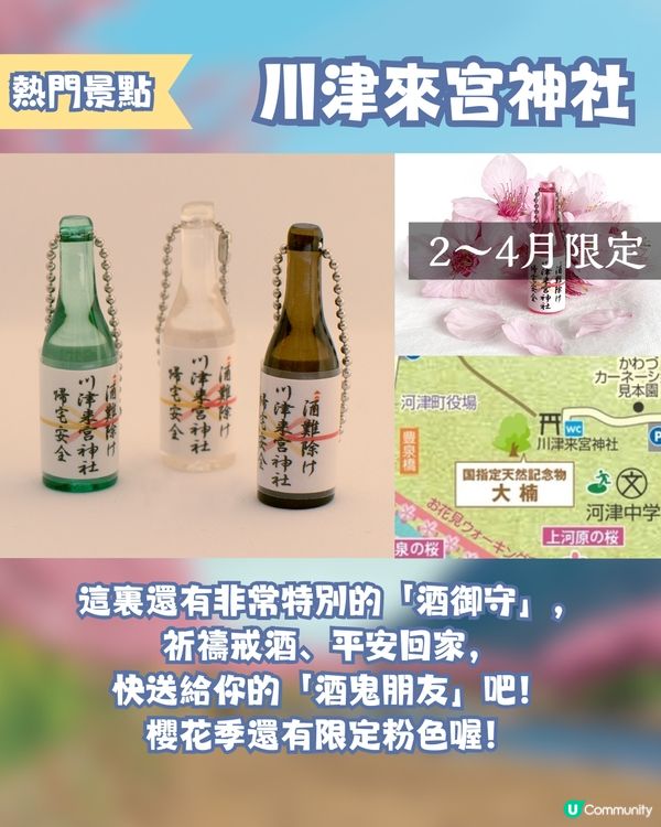 河津櫻2025🌸5大熱門景點一次看！4公里櫻花隧道仲有70年樹齡原木😍附櫻花祭詳細時間/地圖/交通資訊🚗