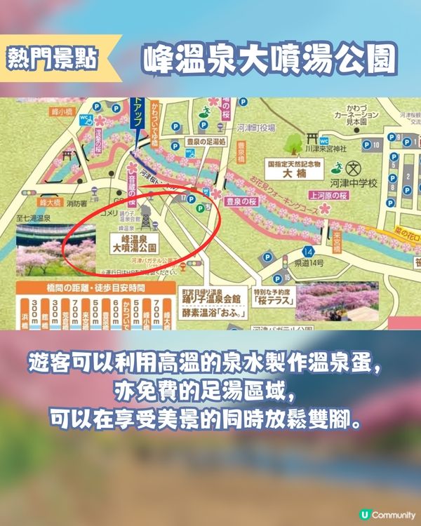 河津櫻2025🌸5大熱門景點一次看！4公里櫻花隧道仲有70年樹齡原木😍附櫻花祭詳細時間/地圖/交通資訊🚗